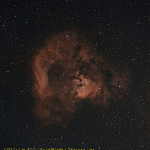 CED 214 Emission Nebula in Cepheus Telescope Live